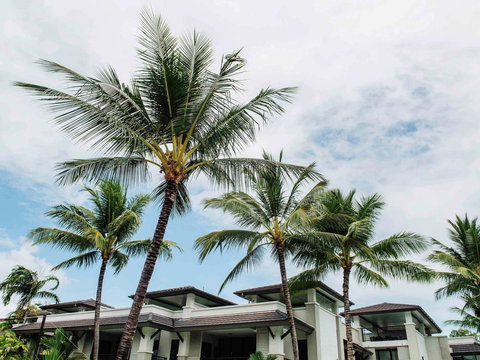 Pullman Port Douglas Sea Temple Resort And Spa - Accommodation Ballina 4