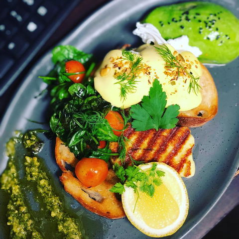 The Bearded Dragon Boutique Hotel - Accommodation Ballina 15