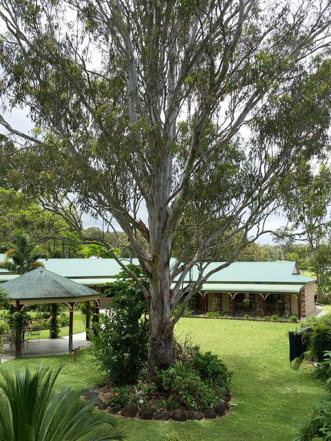 The Bearded Dragon Boutique Hotel - Accommodation Ballina 32