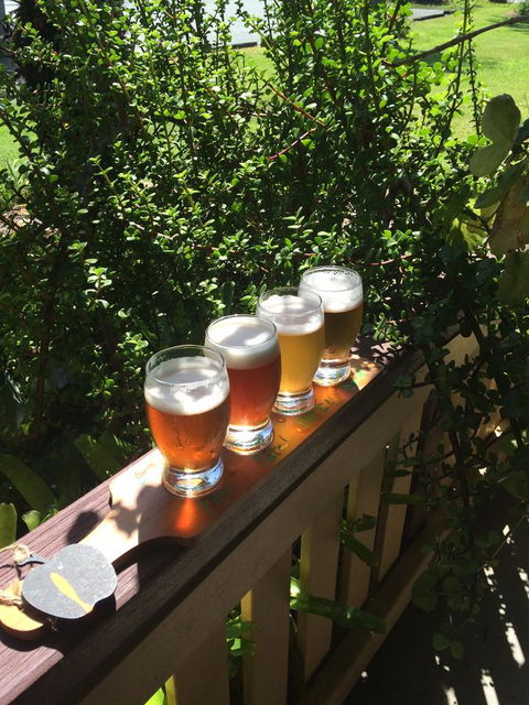 The Bearded Dragon Boutique Hotel - Accommodation Ballina 31