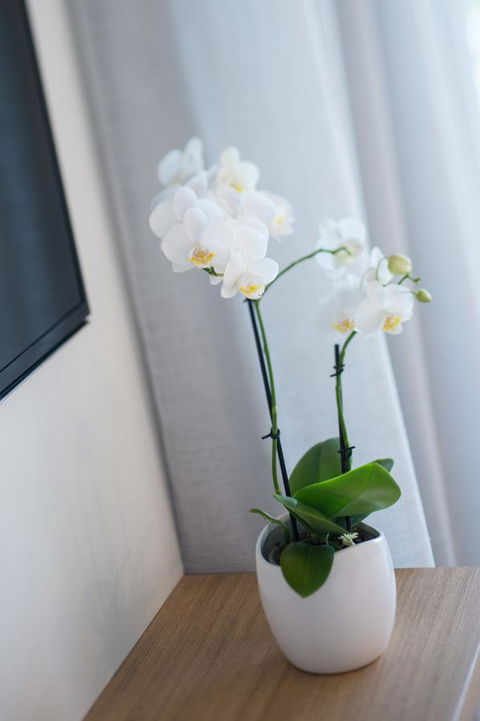 Heart Hotel And Gallery Whitsundays - Accommodation Ballina 28