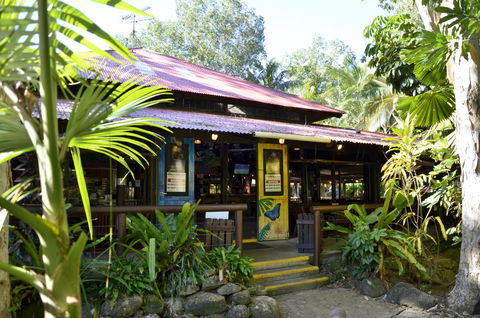 PK\'s Jungle Village - Accommodation Ballina 14
