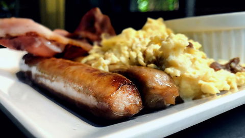 PK\'s Jungle Village - Accommodation Ballina 4