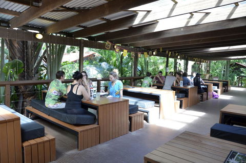 PK\'s Jungle Village - Accommodation Ballina 15