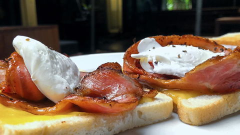 PK\'s Jungle Village - Accommodation Ballina 3