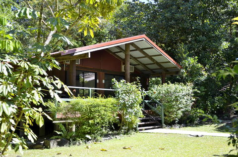 PK\'s Jungle Village - Accommodation Ballina 21