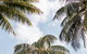 Novotel Cairns Oasis Resort - thumb 9