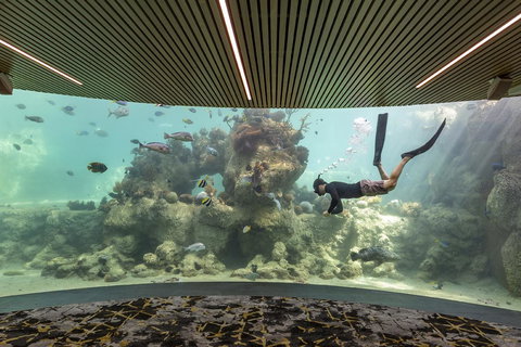 Daydream Island Resort - Accommodation Ballina 28