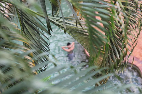 Coral Tree Inn - Accommodation Ballina 36