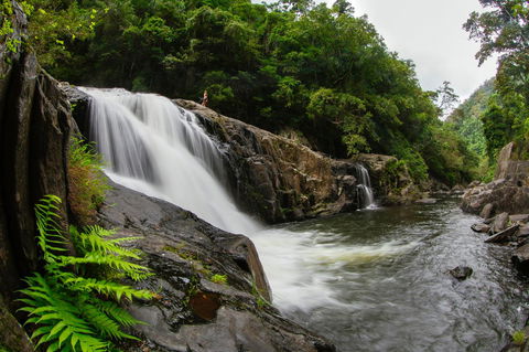 Coral Tree Inn - Accommodation Ballina 40