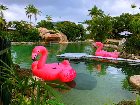Cairns Colonial Club Resort - Accommodation Ballina 6