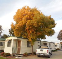 Wodonga Caravan  Cabin Park - Accommodation Ballina