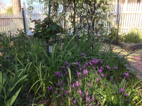 Yapera On Lucan - Accommodation Ballina 2
