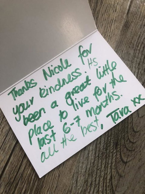 Yours And Theirs Pet Friendly Accommodation - Accommodation Ballina 2