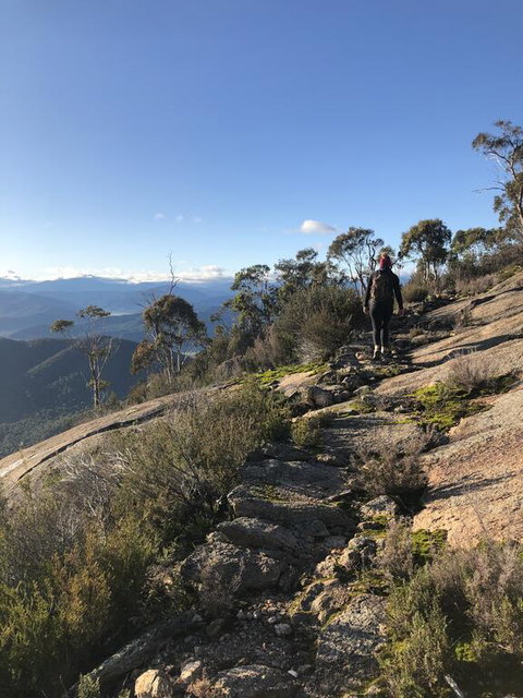 Yours And Theirs Pet Friendly Accommodation - Accommodation Ballina 0