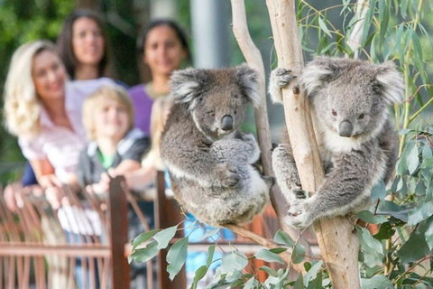 A 3BR Apt Next To Melbourne Zoo FREE Parking - Accommodation Ballina 2