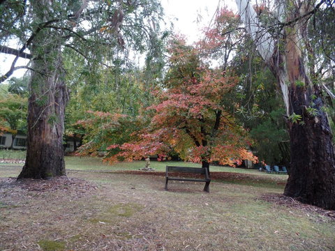 Alpine Riverside Cottages - Accommodation Ballina 4