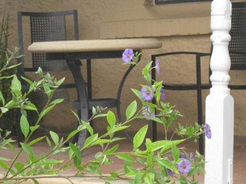 Amalie Cottage Waikerie Unit 1 - Accommodation Ballina 2