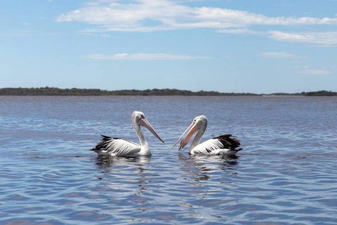 Amazing Ansons Bay Remote Paradise For The Family In The Bay Of Fires Area - Accommodation Ballina 2