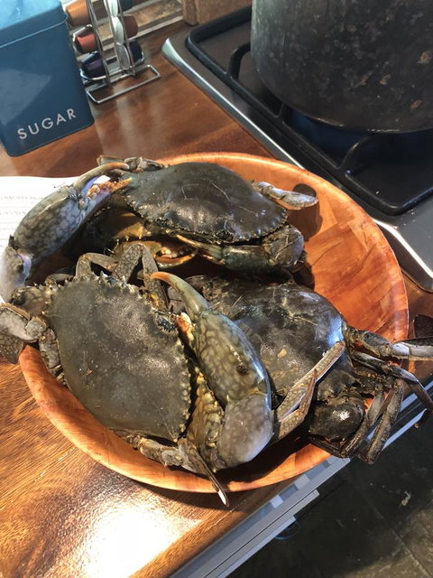 Cairns Beach House Our Oasis - Accommodation Ballina 4