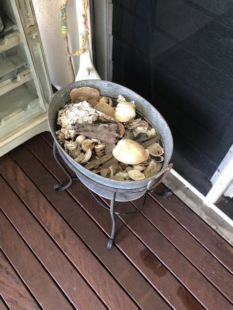 Cairns Beach House Our Oasis - Accommodation Ballina 38