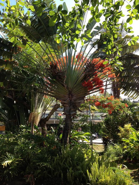 Port Douglas Apartments - Adults Only Oasis - Accommodation Ballina 39