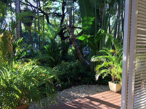 Port Douglas Apartments - Adults Only Oasis - Accommodation Ballina 2