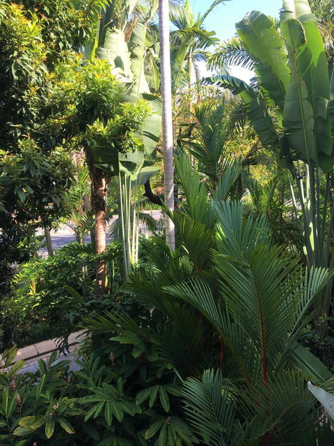 Port Douglas Apartments - Adults Only Oasis - Accommodation Ballina 1