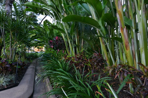 Port Douglas Apartments - Adults Only Oasis - Accommodation Ballina 9