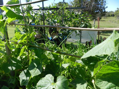 Hay Point Country BnB - Accommodation Ballina 17