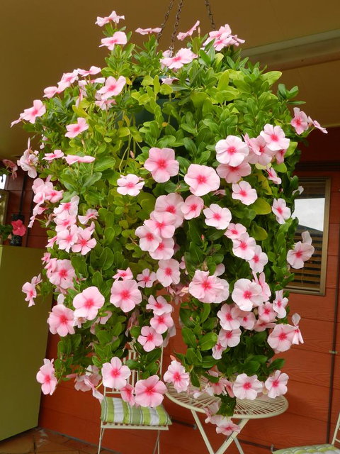 Hay Point Country BnB - Accommodation Ballina 19