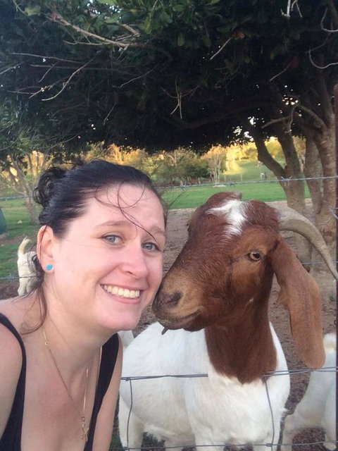 Hay Point Country BnB - Accommodation Ballina 13