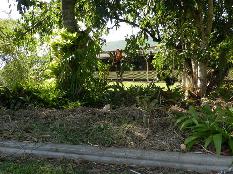 Hay Point Country BnB - Accommodation Ballina 23