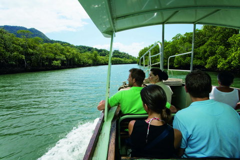Martinique On Macrossan - Accommodation Ballina 28