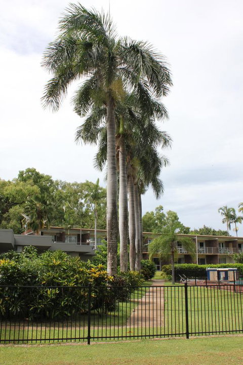 Arcadia Village Motel - Accommodation Ballina 19