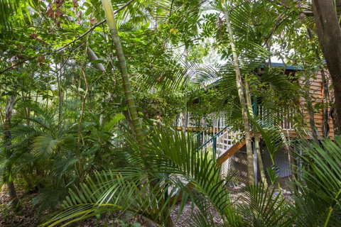 Koorakai - Accommodation Ballina 0