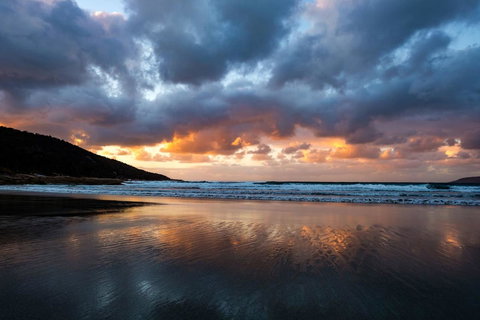 Palana Beach House - Accommodation Ballina 4