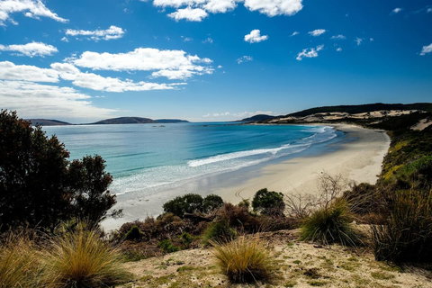 Palana Beach House - Accommodation Ballina 11