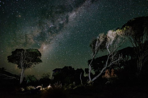 Palana Beach House - Accommodation Ballina 13