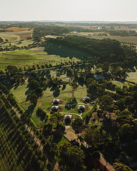 CANVS By CABN Seppeltsfield Barossa - Accommodation Ballina 1
