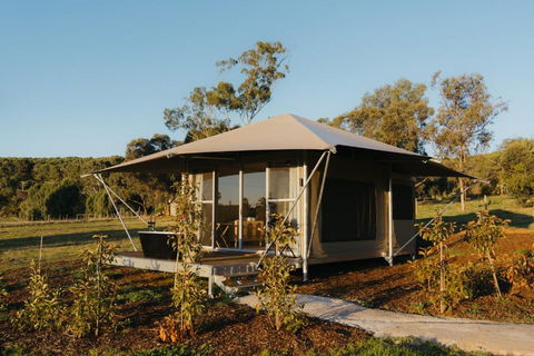 CANVS By CABN Seppeltsfield Barossa - Accommodation Ballina 3