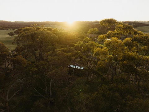 CABN Clare Valley - Accommodation Ballina 4