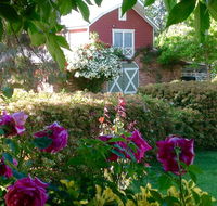 A Country Barn Retreat - Accommodation Ballina