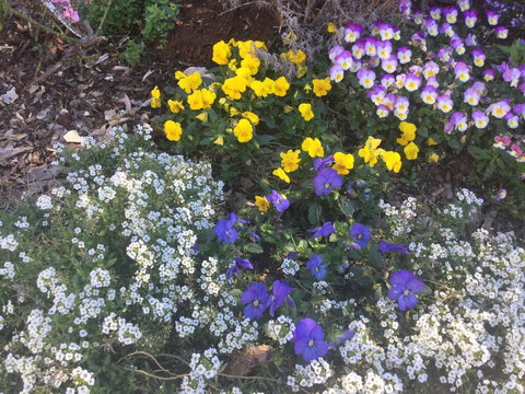 A Very French House - Accommodation Ballina 2