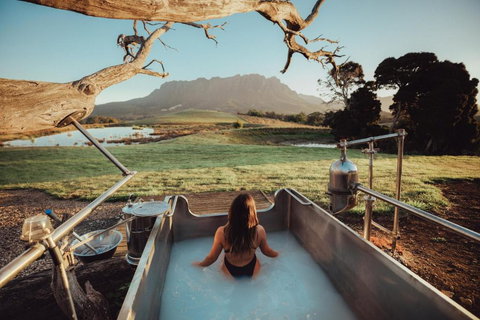 Eagles Nest Retreat - Accommodation Ballina 4