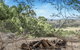 Eastern Rise-Unique Artisan Home Byron Hinterland - thumb 2