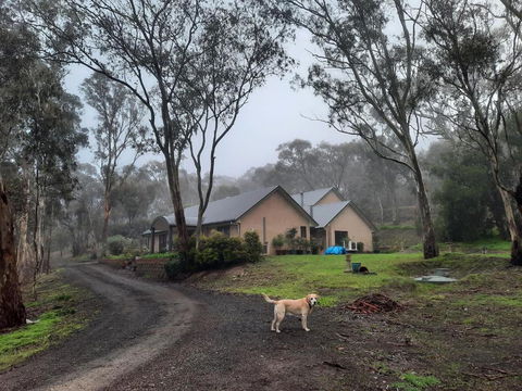 Frogmouth Hollow - Accommodation Ballina 0