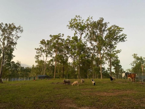 Gemmas Animal Farm By Tiny Away - Accommodation Ballina 1