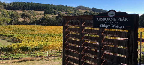 Gisborne Peak Winery Short Term Stays - Accommodation Ballina 0