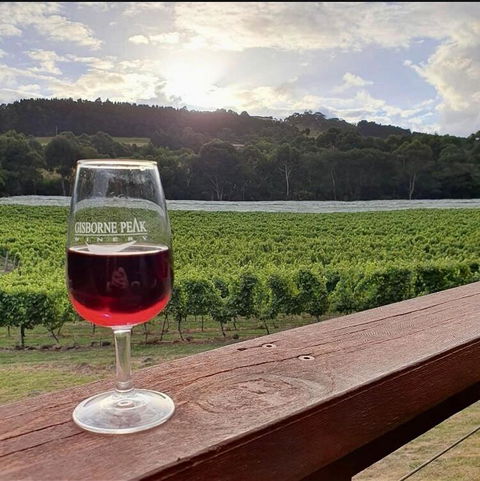 Gisborne Peak Winery Short Term Stays - Accommodation Ballina 3